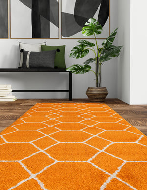 Orange 2' x 13' 1 Trellis Frieze Runner Area Rug Geometric Modern Unique Stain Resistant Easy Clean Carpet for Living, Dining, Bedrooms, Office for Sale at Rug Engine