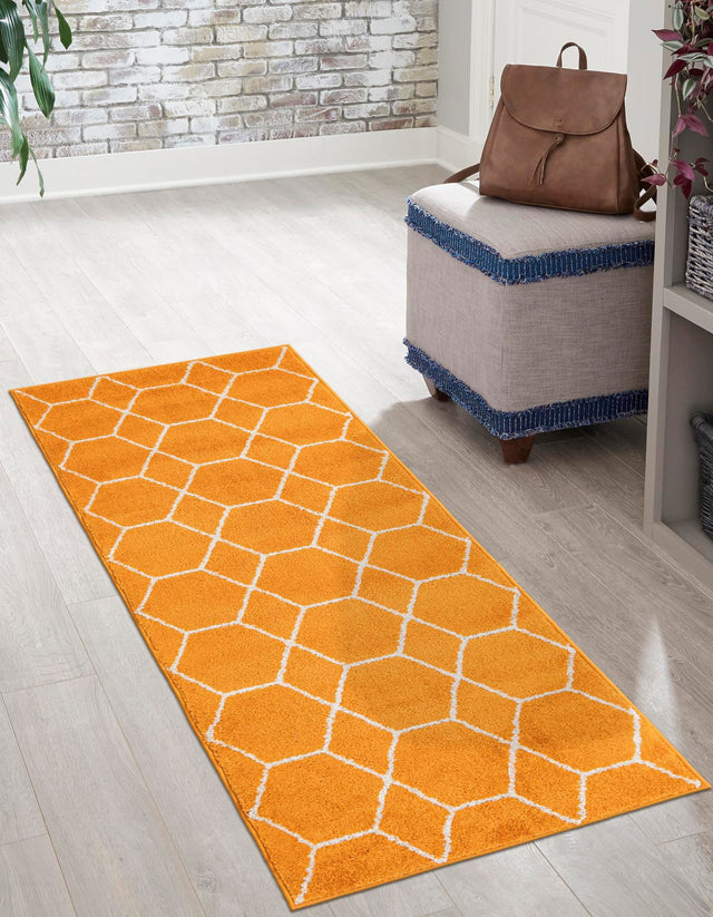 Orange 2' x 13' 1 Trellis Frieze Runner Area Rug Geometric Modern Unique Stain Resistant Easy Clean Carpet for Living, Dining, Bedrooms, Office for Sale at Rug Engine