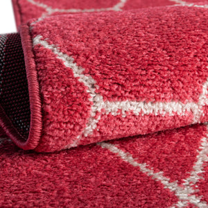Pink 4' 1 x 6' 1 Trellis Frieze Rectangle Area Rug Geometric Modern Unique Stain Resistant Easy Clean Carpet for Living, Dining, Bedrooms, Office for Sale at Rug Engine