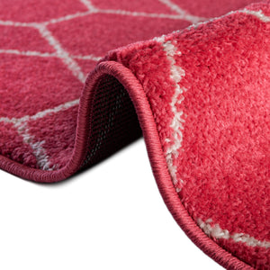 Pink 4' 1 x 6' 1 Trellis Frieze Rectangle Area Rug Geometric Modern Unique Stain Resistant Easy Clean Carpet for Living, Dining, Bedrooms, Office for Sale at Rug Engine