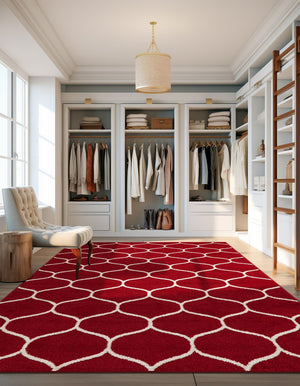 Red 4' 1 x 6' 1 Trellis Frieze Rectangle Area Rug Geometric Modern Unique Stain Resistant Easy Clean Carpet for Living, Dining, Bedrooms, Office for Sale at Rug Engine
