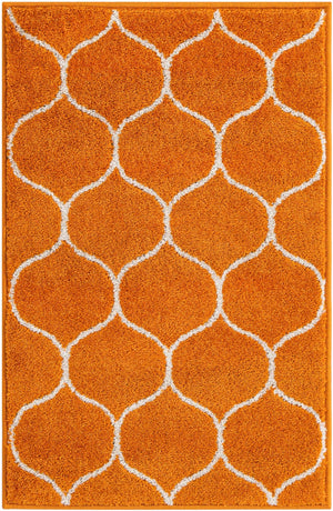 Orange 2' x 3' 1 Trellis Frieze Rectangle Area Rug Geometric Modern Unique Stain Resistant Easy Clean Carpet for Living, Dining, Bedrooms, Office for Sale at Rug Engine