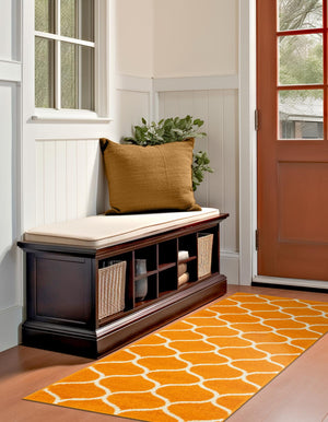 Orange 2' x 6' 1 Trellis Frieze Runner Area Rug Geometric Modern Unique Stain Resistant Easy Clean Carpet for Living, Dining, Bedrooms, Office for Sale at Rug Engine