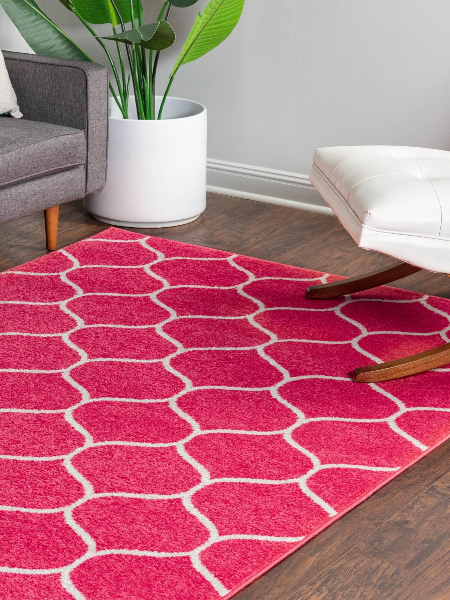 Pink 2' x 3' 1 Trellis Frieze Rectangle Area Rug Geometric Modern Unique Stain Resistant Easy Clean Carpet for Living, Dining, Bedrooms, Office for Sale at Rug Engine