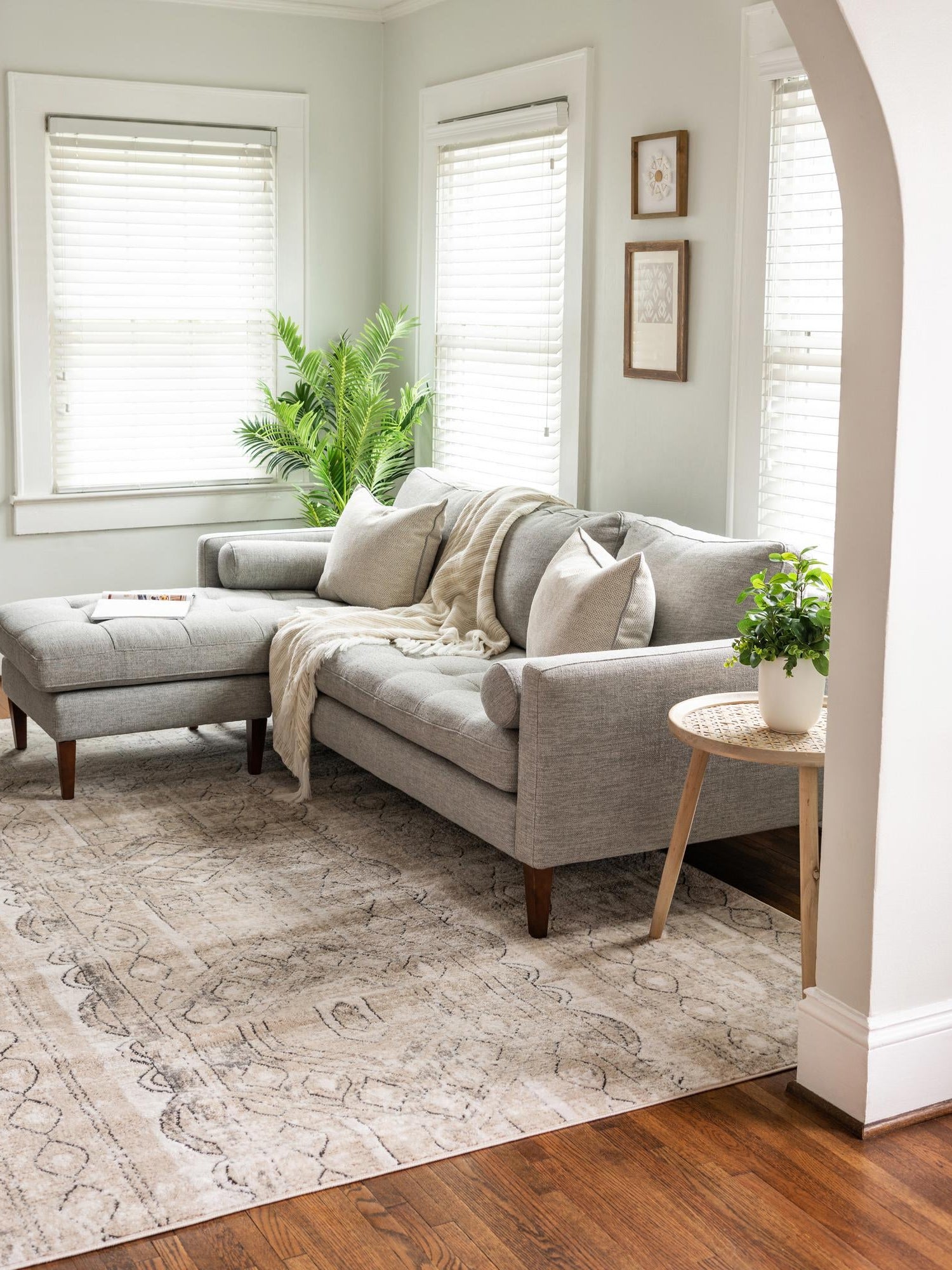 Ivory 6' 1 x 6' 1 Portland Square Area Rug 85% Polypropylene & 15% Polyester Vintage Distressed Traditional Carpet for Home Decor for Sale at Rug Engine