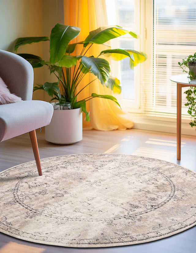 Ivory 7' 10 x 7' 10 Portland Round Area Rug 85% Polypropylene & 15% Polyester Vintage Distressed Traditional Carpet for Home Decor for Sale at Rug Engine