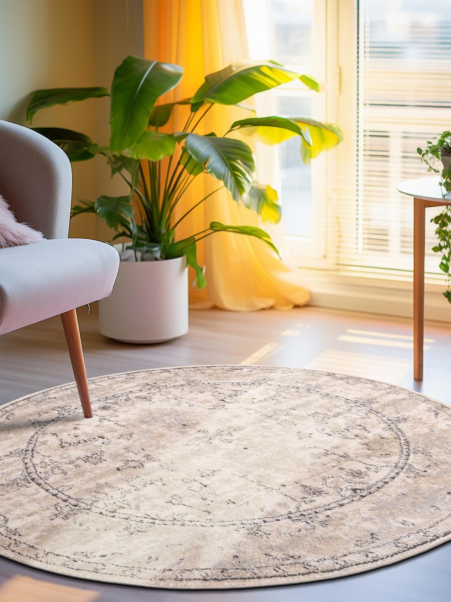 Ivory 3' 1 x 3' 1 Portland Round Area Rug 85% Polypropylene & 15% Polyester Vintage Distressed Traditional Carpet for Home Decor for Sale at Rug Engine