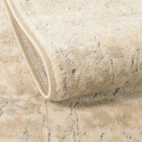 Ivory 2' x 7' 1 Portland Runner Area Rug 85% Polypropylene & 15% Polyester Vintage Distressed Traditional Carpet for Home Decor for Sale at Rug Engine