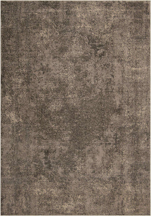 Gray 10' x 14' 1 Portland Rectangle Area Rug 85% Polypropylene & 15% Polyester Vintage Distressed Traditional Carpet for Home Decor for Sale at Rug Engine