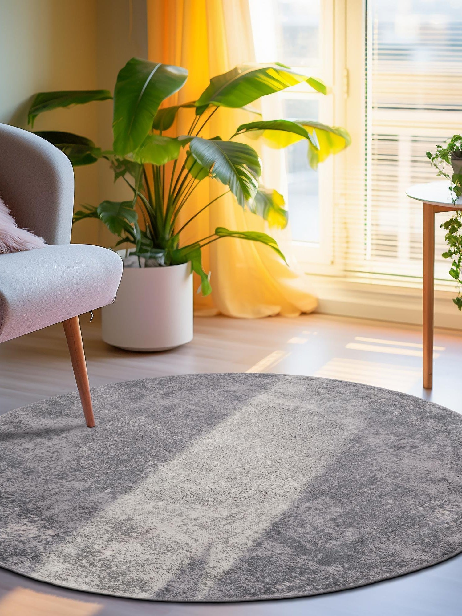 Gray 7' 10 x 7' 10 Portland Round Area Rug 85% Polypropylene & 15% Polyester Vintage Distressed Traditional Carpet for Home Decor for Sale at Rug Engine
