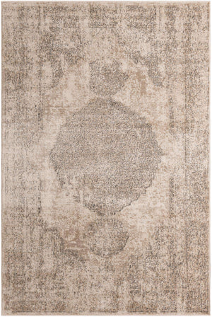 Ivory 6' 1 x 9' Portland Rectangle Area Rug 85% Polypropylene & 15% Polyester Vintage Distressed Traditional Carpet for Home Decor for Sale at Rug Engine