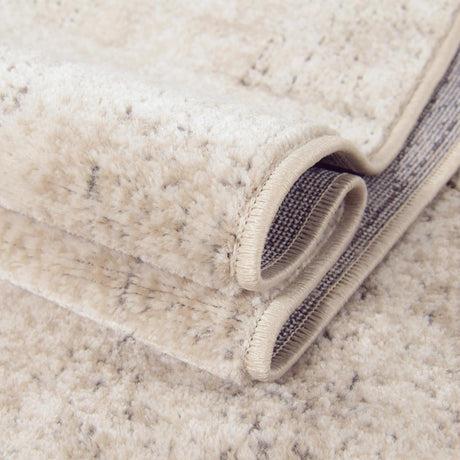 Ivory 2' 2 x 3' 1 Portland Rectangle Area Rug 85% Polypropylene & 15% Polyester Vintage Distressed Traditional Carpet for Home Decor for Sale at Rug Engine