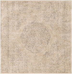 Ivory 4' 1 x 4' 1 Portland Square Area Rug 85% Polypropylene & 15% Polyester Vintage Distressed Traditional Carpet for Home Decor for Sale at Rug Engine