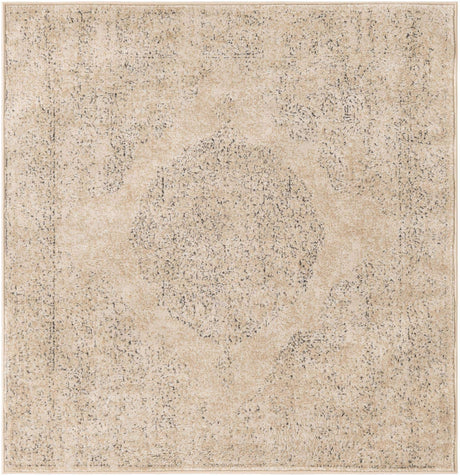 Ivory 4' 1 x 4' 1 Portland Square Area Rug 85% Polypropylene & 15% Polyester Vintage Distressed Traditional Carpet for Home Decor for Sale at Rug Engine