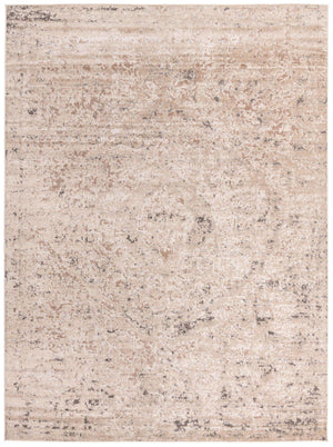 Beige 10' x 13' 1 Portland Rectangle Area Rug 85% Polypropylene & 15% Polyester Vintage Distressed Traditional Carpet for Home Decor for Sale at Rug Engine
