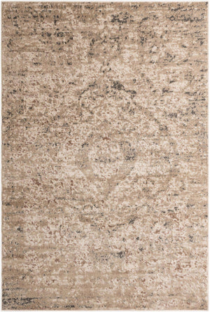 Beige 6' 1 x 9' Portland Rectangle Area Rug 85% Polypropylene & 15% Polyester Vintage Distressed Traditional Carpet for Home Decor for Sale at Rug Engine