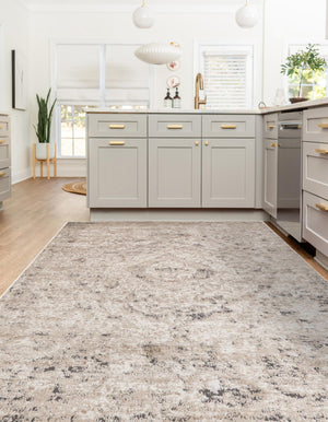 Beige 5' 3 x 8' Portland Rectangle Area Rug 85% Polypropylene & 15% Polyester Vintage Distressed Traditional Carpet for Home Decor for Sale at Rug Engine