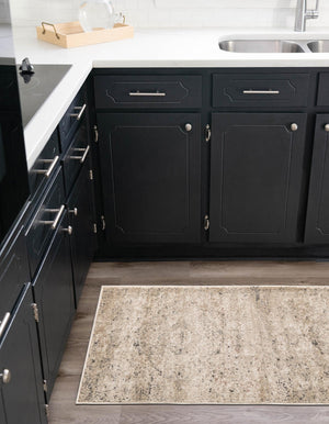 Beige 2' 2 x 12' Portland Runner Area Rug 85% Polypropylene & 15% Polyester Vintage Distressed Traditional Carpet for Home Decor for Sale at Rug Engine