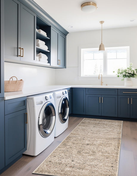 Beige 2' x 5' 3 Portland Runner Area Rug 85% Polypropylene & 15% Polyester Vintage Distressed Traditional Carpet for Home Decor for Sale at Rug Engine