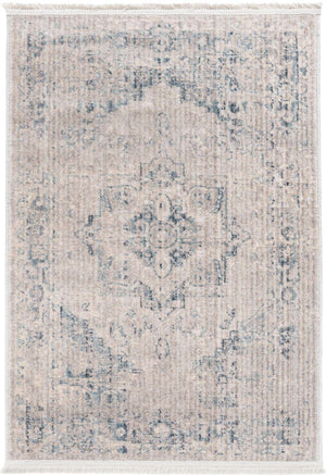 Gray 2' 2 x 3' 1 Noble Rectangle Area Rug 100% Polyester Traditional Distressed Classic Contemporary Carpet for Home Decor for Sale at Rug Engine
