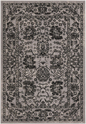 Light Gray 4' 1 x 6' 1 Lucerne Rectangle Area Rug 100% Polypropylene Traditional Classic Easy Clean Carpet for Kitchens, Living Rooms, Bedroom, Office for Sale at Rug Engine