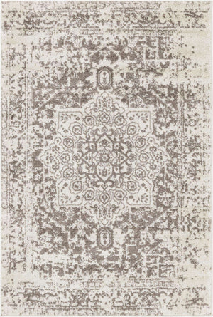 White 4' 1 x 6' 1 Richmond Rectangle Area Rug Vintage Distressed Look Traditional Design Carpet for Unique Home Interior Design for Sale at Rug Engine