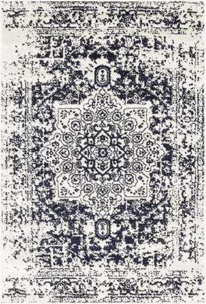 Blue 4' 1 x 6' 1 Richmond Rectangle Area Rug Vintage Distressed Look Traditional Design Carpet for Unique Home Interior Design for Sale at Rug Engine