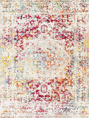 Light Multicolor 9' x 12' Richmond Rectangle Area Rug Vintage Distressed Look Traditional Design Carpet for Unique Home Interior Design for Sale at Rug Engine