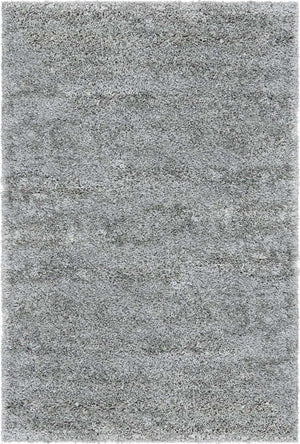 Cloud Gray 2' x 3' 1 Soft Solid Shag Rectangle Area Rug Thick Soft Touch Fluffy & Plush Shaggy Pile