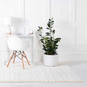 White 2' x 2' 11 Soft Solid Shag Rectangle Area Rug Thick Soft Touch Fluffy & Plush Shaggy Pile