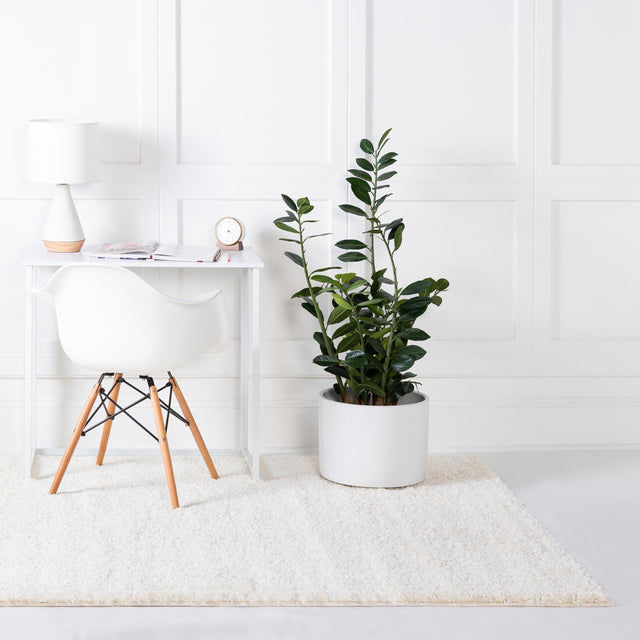 White 2' x 2' 11 Soft Solid Shag Rectangle Area Rug Thick Soft Touch Fluffy & Plush Shaggy Pile