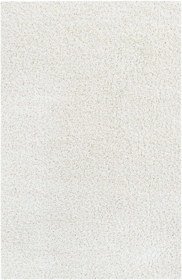 White 5' 1 x 8' Soft Solid Shag Rectangle Area Rug Thick Soft Touch Fluffy & Plush Shaggy Pile