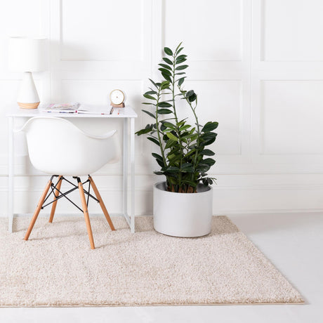 Oatmeal Beige 3' 3 x 5' 3 Soft Solid Shag Rectangle Area Rug Thick Soft Touch Fluffy & Plush Shaggy Pile 100% Polypropylene Minimalist Carpet for Modern Home Interiors for Sale at Rug Engine