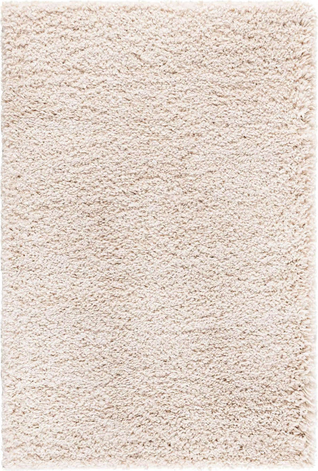 Oatmeal Beige 2' x 3' 1 Soft Solid Shag Rectangle Area Rug Thick Soft Touch Fluffy & Plush Shaggy Pile