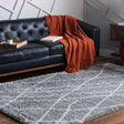Cloud Gray 9' 10 x 13' 1 Soft Touch Shag Rectangle Area Rug Thick Soft Touch Fluffy & Plush Shaggy Pile