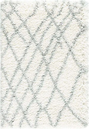 Ivory 2' x 3' 1 Soft Touch Shag Rectangle Area Rug Thick Soft Touch Fluffy & Plush Shaggy Pile