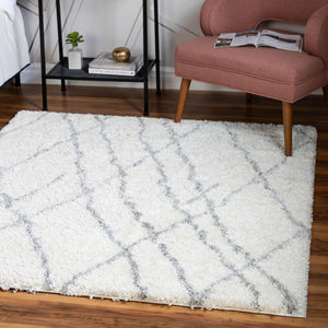 Ivory 5' 3 x 5' 3 Soft Touch Shag Square Area Rug Thick Soft Touch Fluffy & Plush Shaggy Pile