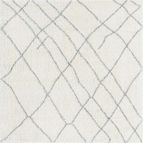 Ivory 4' 1 x 4' 1 Soft Touch Shag Square Area Rug Thick Soft Touch Fluffy & Plush Shaggy Pile
