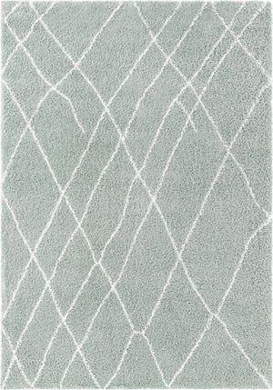 Sage Green 7' 1 x 10' Soft Touch Shag Rectangle Area Rug Thick Soft Touch Fluffy & Plush Shaggy Pile