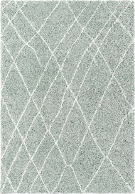 Sage Green 7' 1 x 10' Soft Touch Shag Rectangle Area Rug Thick Soft Touch Fluffy & Plush Shaggy Pile