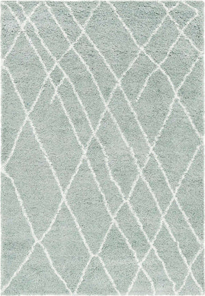 Sage Green 6' 1 x 9' Soft Touch Shag Rectangle Area Rug Thick Soft Touch Fluffy & Plush Shaggy Pile