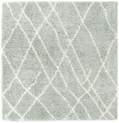 Sage Green 5' 3 x 5' 3 Soft Touch Shag Square Area Rug Thick Soft Touch Fluffy & Plush Shaggy Pile