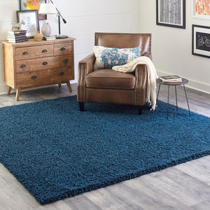 Sapphire Blue 2' 2 x 2' 2 Solid Shag Square Area Rug Thick Soft Touch Fluffy & Plush Shaggy Pile