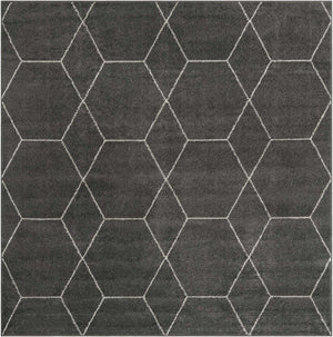 Dark Gray 4' 1 x 4' 1 Trellis Frieze Square Area Rug Geometric Modern Unique Stain Resistant Easy Clean Carpet for Living, Dining, Bedrooms, Office for Sale at Rug Engine