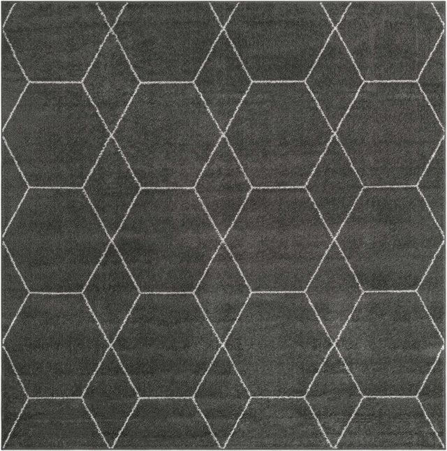 Dark Gray 5' 3 x 5' 3 Trellis Frieze Square Area Rug Geometric Modern Unique Stain Resistant Easy Clean Carpet for Living, Dining, Bedrooms, Office for Sale at Rug Engine