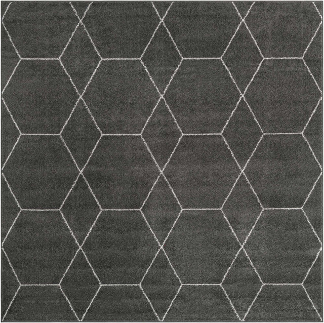 Dark Gray 6' 1 x 6' 1 Trellis Frieze Square Area Rug Geometric Modern Unique Stain Resistant Easy Clean Carpet for Living, Dining, Bedrooms, Office for Sale at Rug Engine