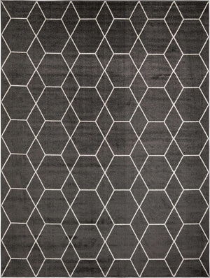 Dark Gray 10' x 13' 1 Trellis Frieze Rectangle Area Rug Geometric Modern Unique Stain Resistant Easy Clean Carpet for Living, Dining, Bedrooms, Office for Sale at Rug Engine