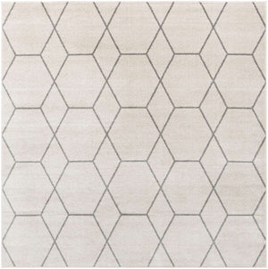 Ivory 5' 3 x 5' 3 Trellis Frieze Square Area Rug Geometric Modern Unique Stain Resistant Easy Clean Carpet for Living, Dining, Bedrooms, Office for Sale at Rug Engine