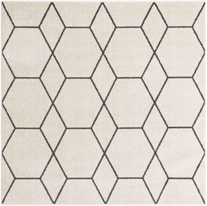 Ivory 6' 1 x 6' 1 Trellis Frieze Square Area Rug Geometric Modern Unique Stain Resistant Easy Clean Carpet for Living, Dining, Bedrooms, Office for Sale at Rug Engine
