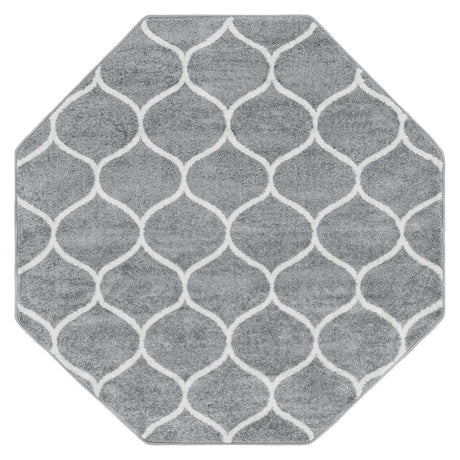 Light Gray 5' 3 x 5' 3 Trellis Frieze Octagon Area Rug Geometric Modern Unique Stain Resistant Easy Clean Carpet for Living, Dining, Bedrooms, Office for Sale at Rug Engine